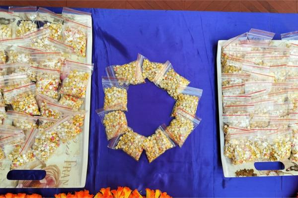 Makara Sankranthi